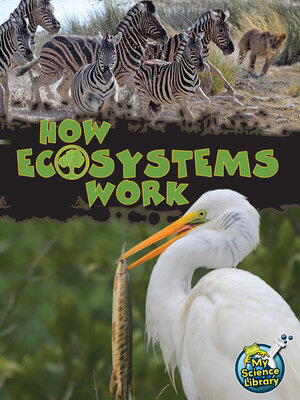 cover image of How Ecosystems Work